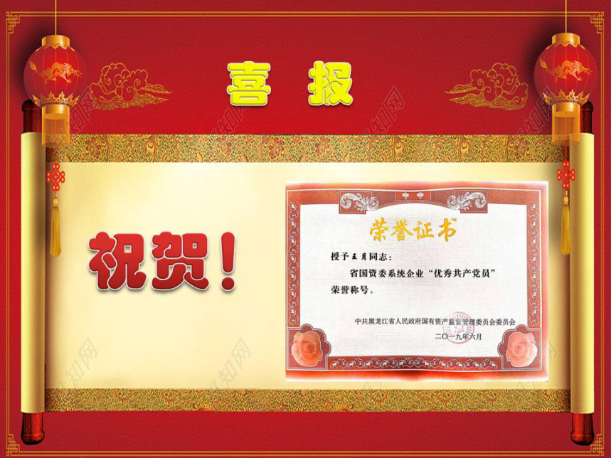 優(yōu)秀共產(chǎn)黨員王月—?jiǎng)恿瀑Q(mào)(圖2)